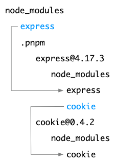 pnpm-node-modules